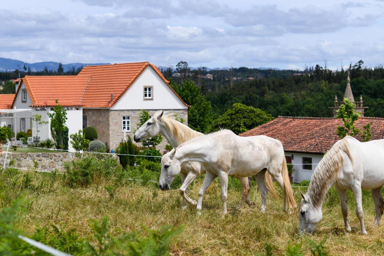 Quinta Lusitania Vendégház Santa Comba Dao Kültér fotó