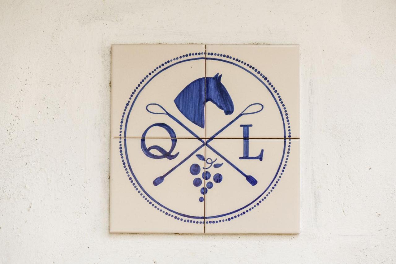 Quinta Lusitania Vendégház Santa Comba Dao Kültér fotó