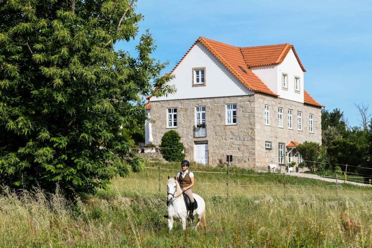 Quinta Lusitania Vendégház Santa Comba Dao Kültér fotó